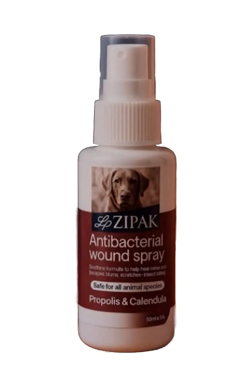 29538-66fac075-fcf0-4863-a865-666d03a6b763