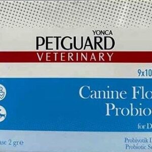 پودر پروبیوتیک سگ پت گارد